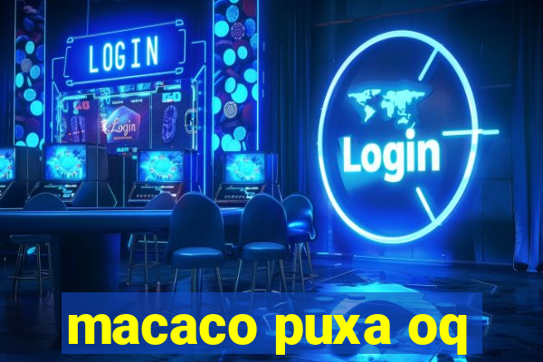 macaco puxa oq